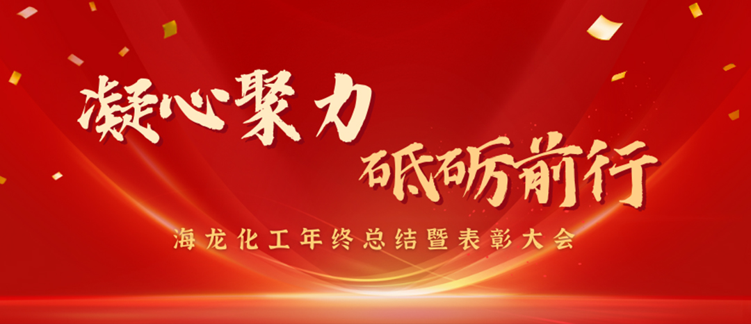 表彰 | 凝心聚力,砥礪前行,海龍化工年終總結暨表彰大會圓滿舉行